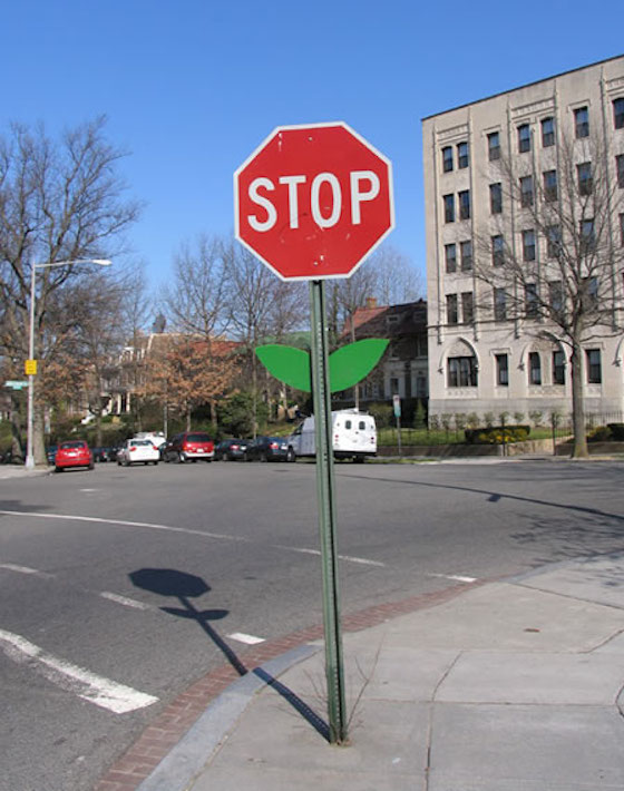 stop-sign-flower-mark-jenkins