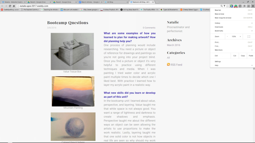 screenshot of student blog