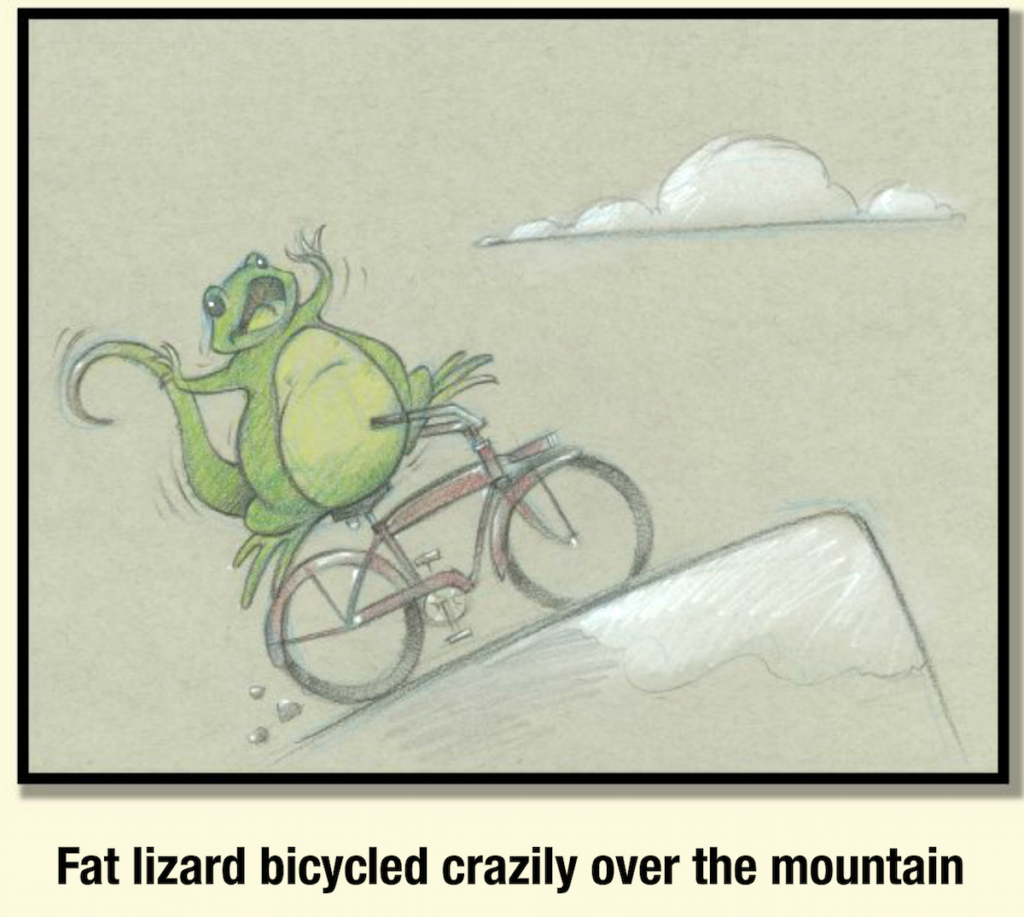 lizard on a bike