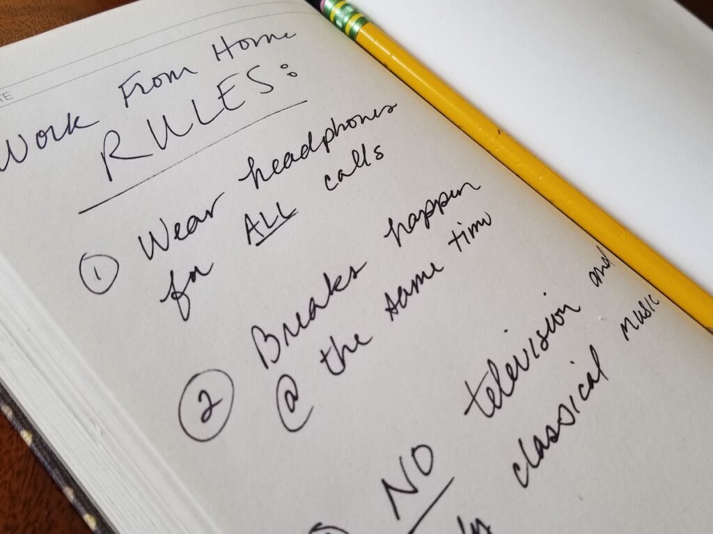 Rules for working at home