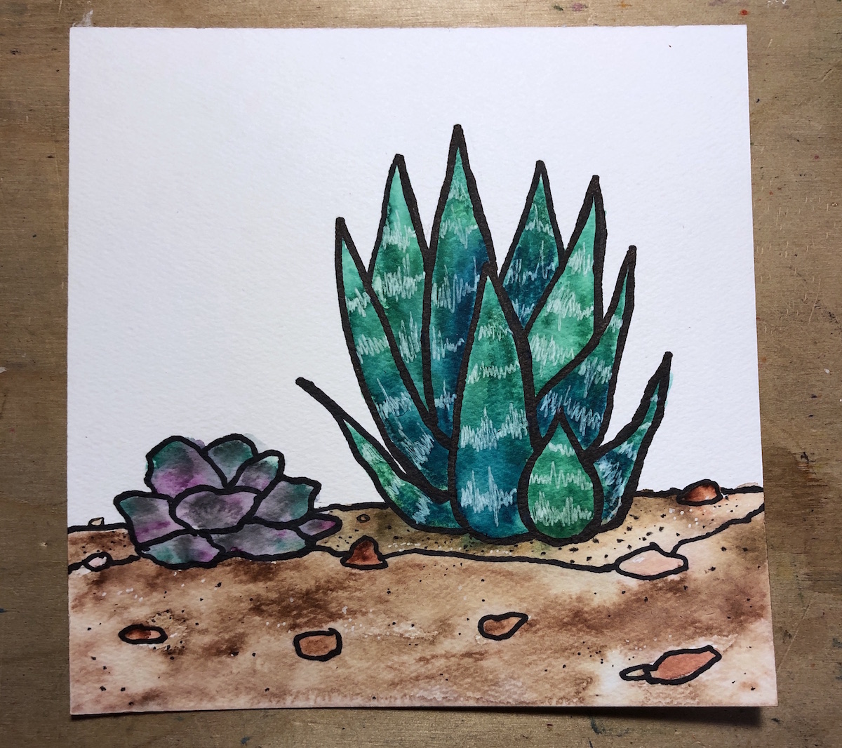watercolor artwork of succulents