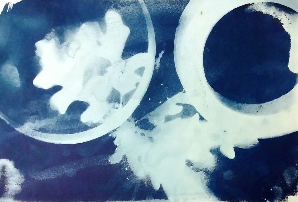 cyanotypes with nature