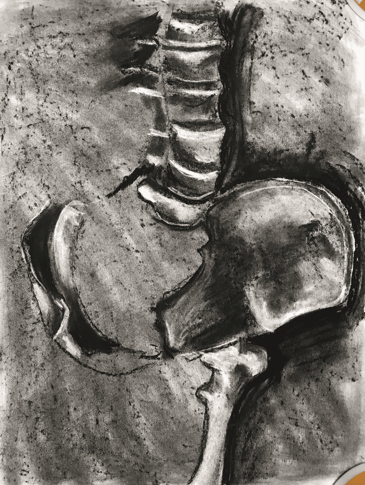 bone sketch
