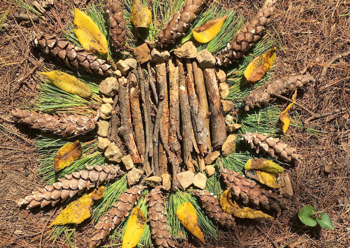 How to Inspire Your Students With Artist Andy Goldsworthy - The Art of  Education University