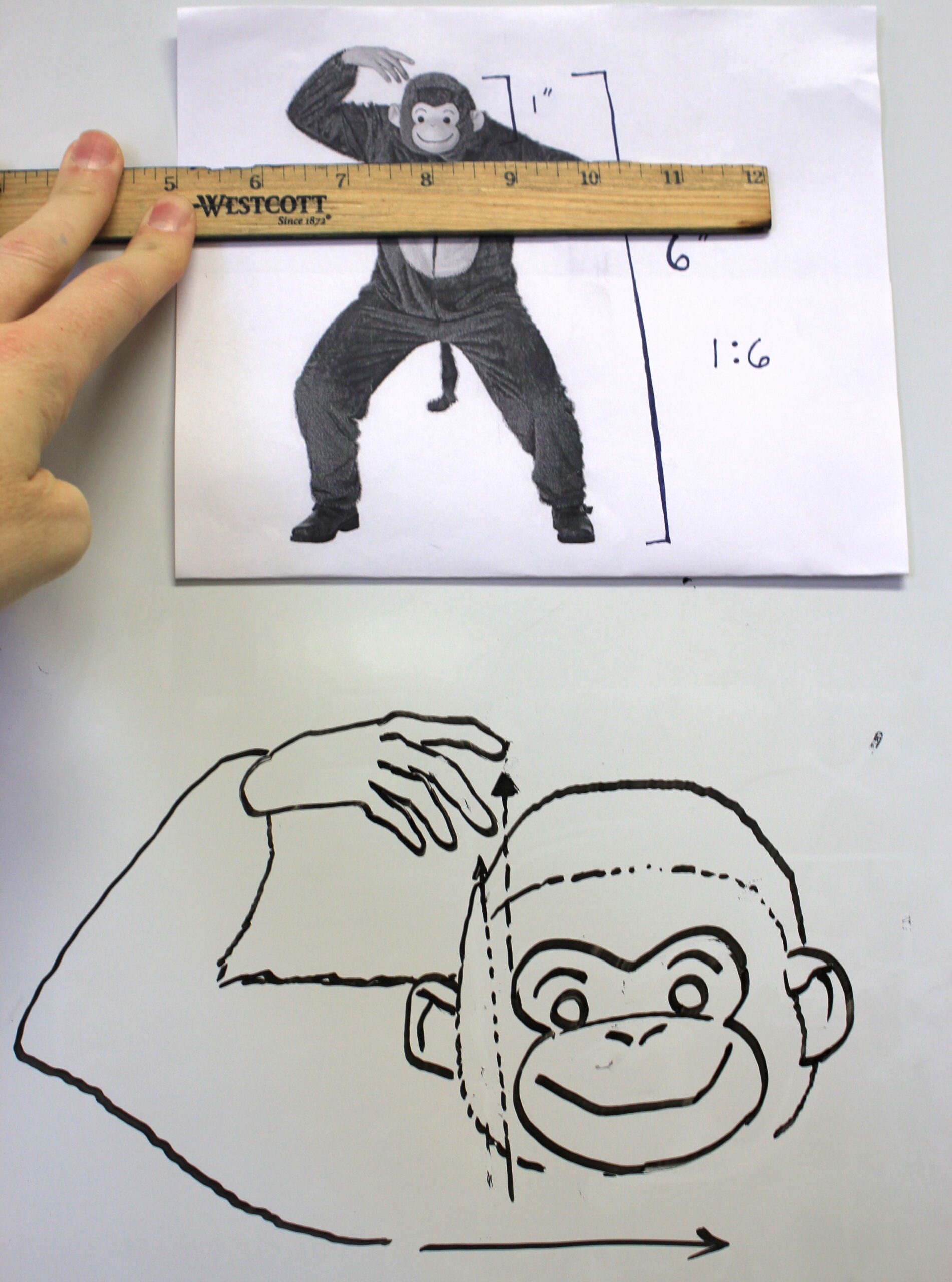 monkey with ruler