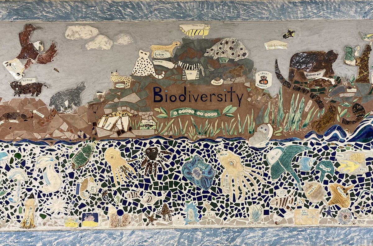 mosaic on biodiversity
