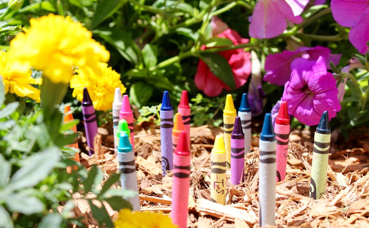 crayon garden
