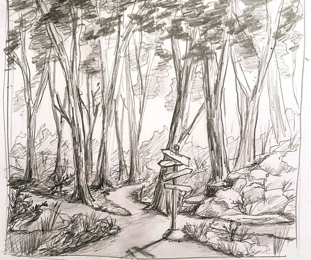 nature trail drawing