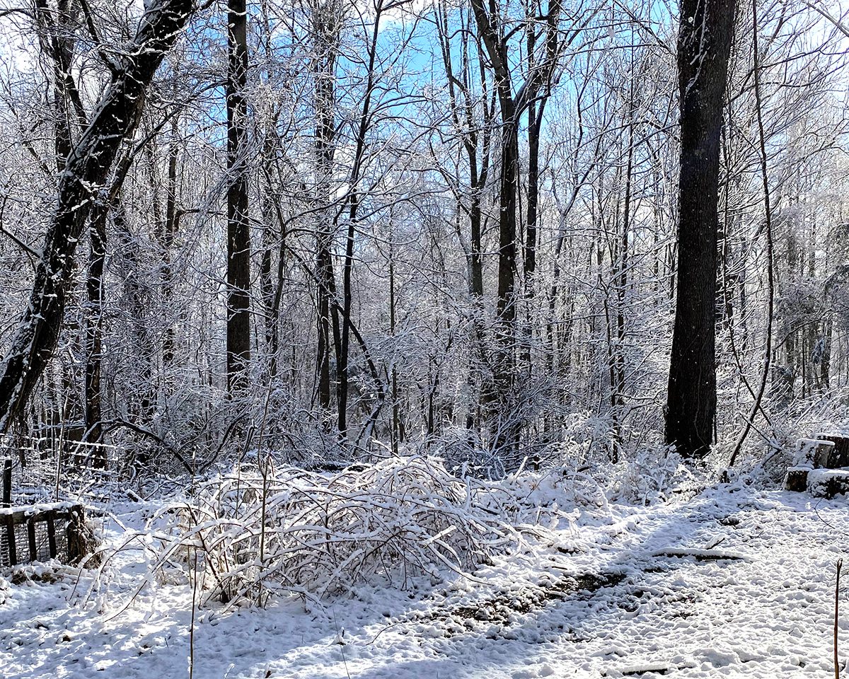 Abraza el cuadro de invierno: ¡8 maneras de encender la creatividad durante las holganza!