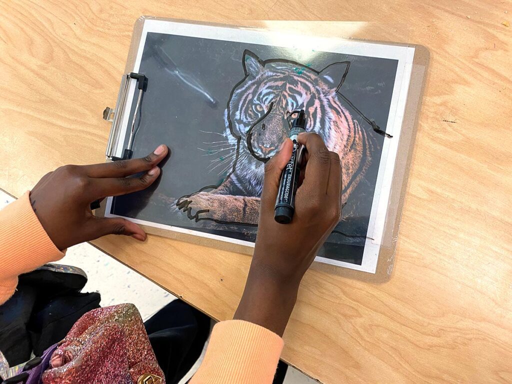 student tracing tiger