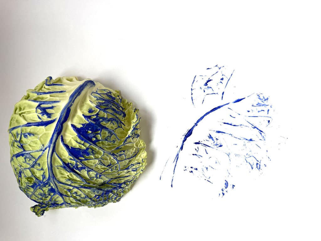 cabbage print