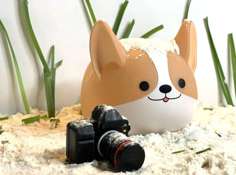 toy dog with toy camera