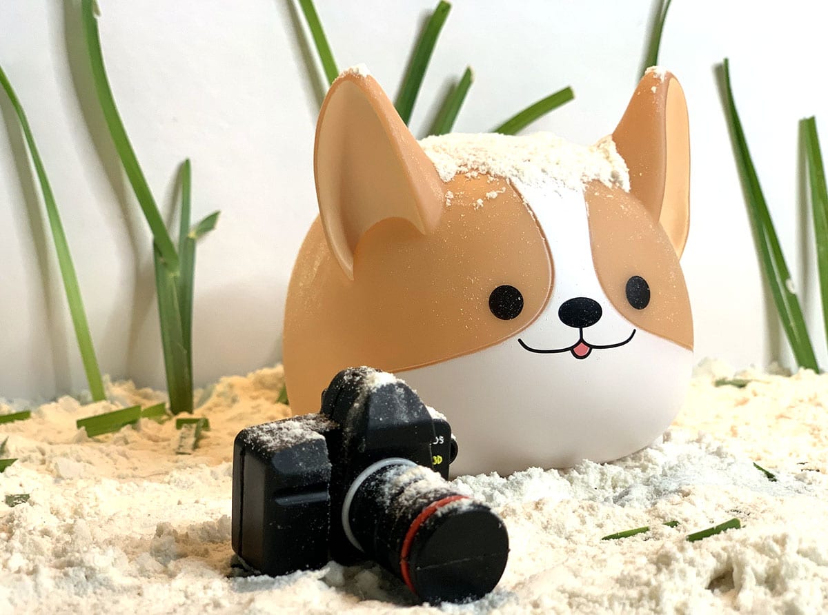 toy dog with toy camera