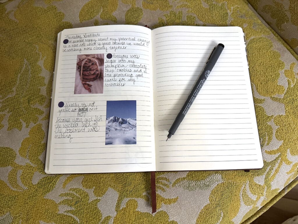gratitude journal with pen