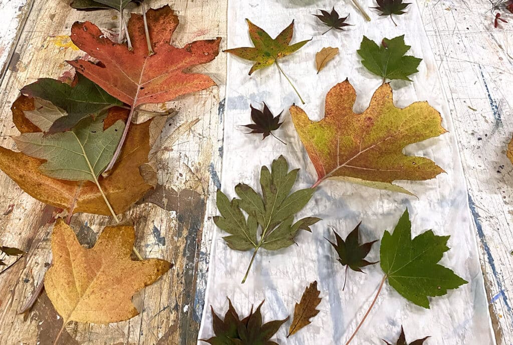 leaves on a piece of fabric