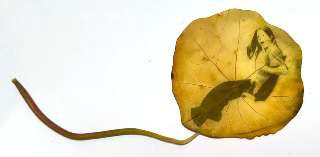 studio: photo example