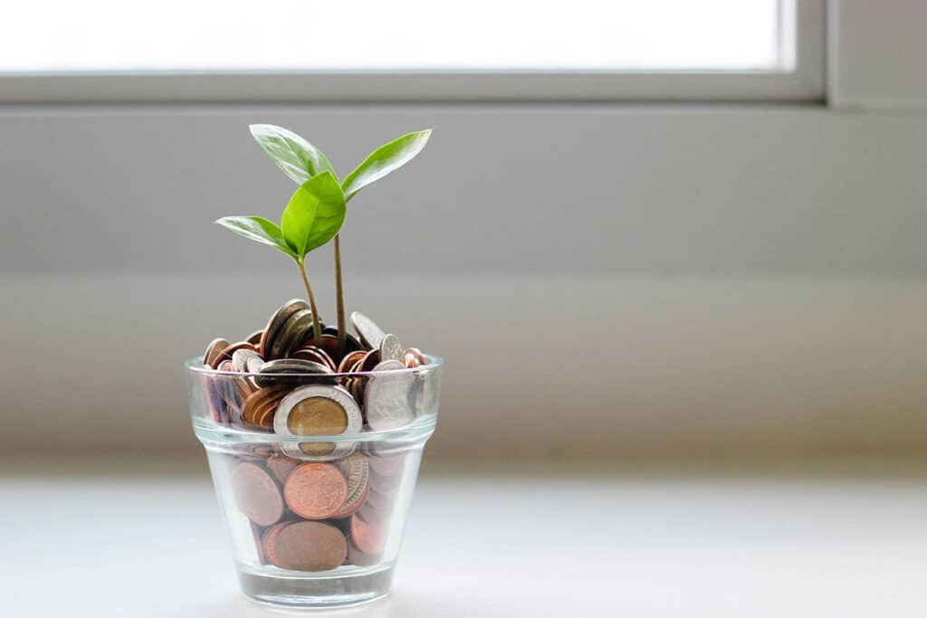 plant sprouting out of coins