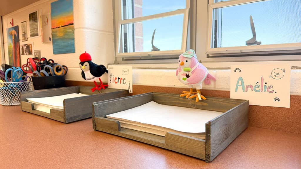 paper trays with birds
