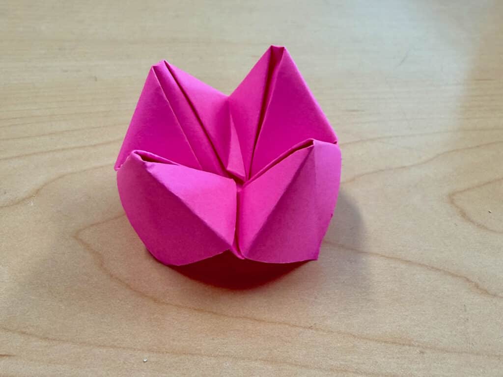 fortune teller