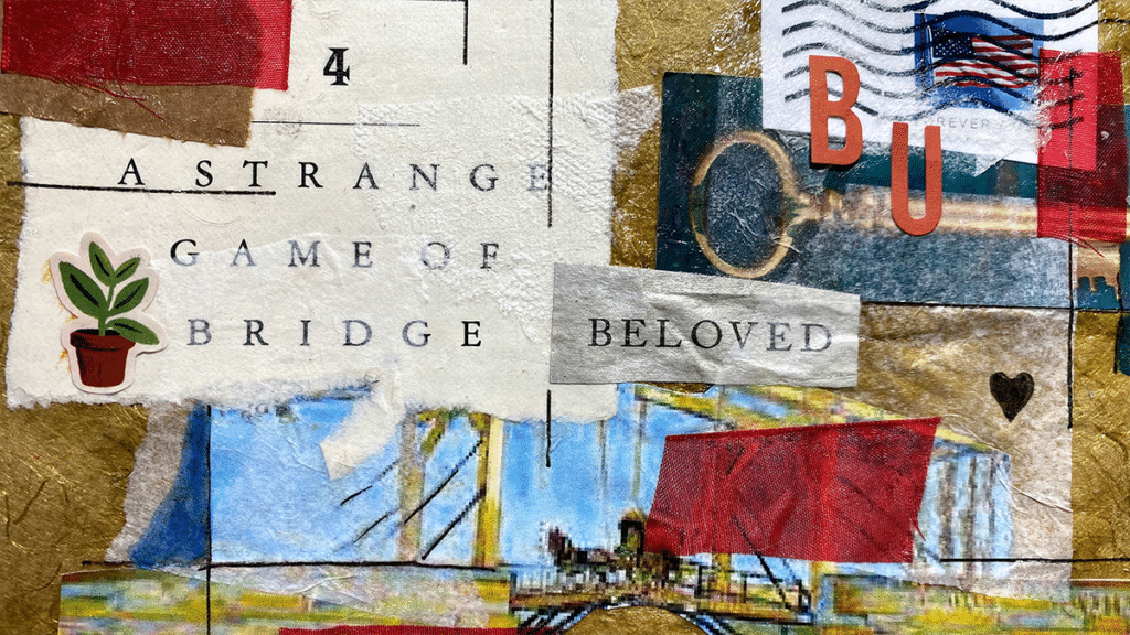 collage close up