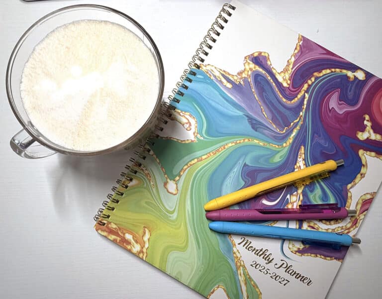 agenda book, pens, mug