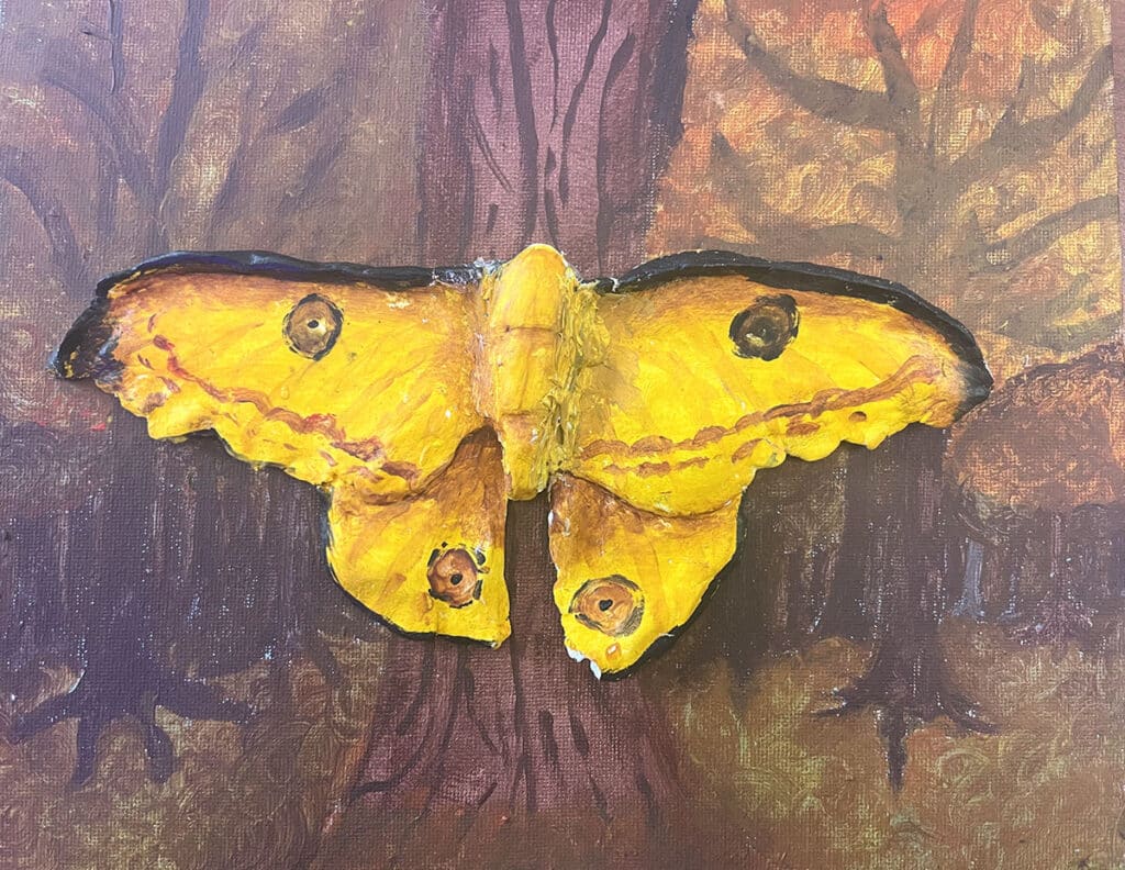 butterfly painting