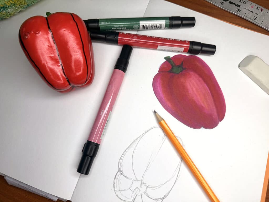 pepper contour observation drawing